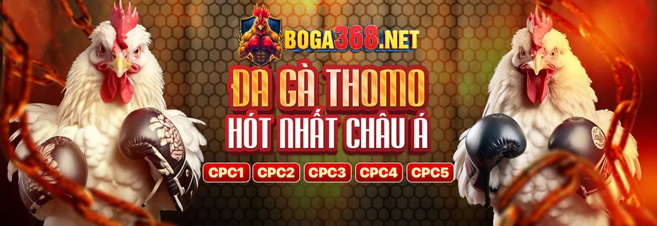 Cá cược trực tiếp 123win vin
